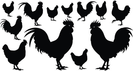 Rooster and hen silhouettes collection, farm chicken flock vector illustration set, domestic poultry birds in various poses, black barnyard animal icons on white,