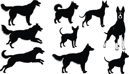 Set of black dog silhouettes, collection of various breeds like retriever, terrier, shepherd, pet animal poses, running, standing, isolated vector illustration.