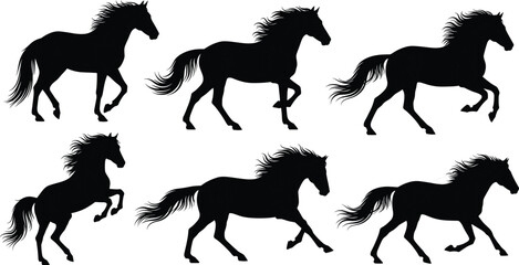 Set of black horse silhouettes, collection of running, galloping, trotting, and rearing equine poses, vector equestrian icon illustration, isolated.