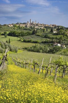 San Gimignano, Tuscany, Italy