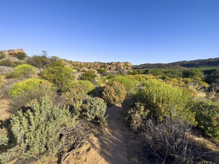 Hiking trail Sevilla Art Rock Trail, dry landscape with green bushes, Cederberg Mountains, near Clanwilliam, Western Cape, South Africa