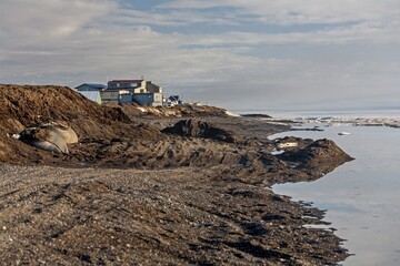 Thawing permafrost on the Arctic coast, Beaufort Sea, Barrow, Alaska, USA