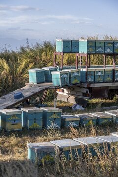 Stacked and lined up colourfully painted beehives, beekeeper, Kyrgyzstan