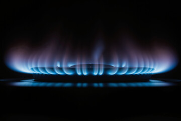 Biogas Burner Flame – Eco-Friendly Energy Solution for Sustainable Home Cooking and Renewable Technology Presentations