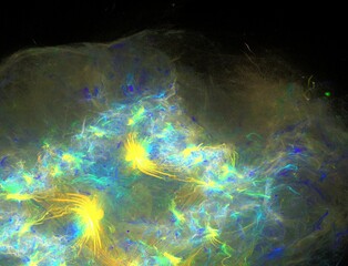 Imaginatory fractal abstract background Image