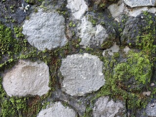 Fototapeta premium Detailed macro view of a weathered stone wall with a rustic texture and vibrant green moss growing in the crevices.