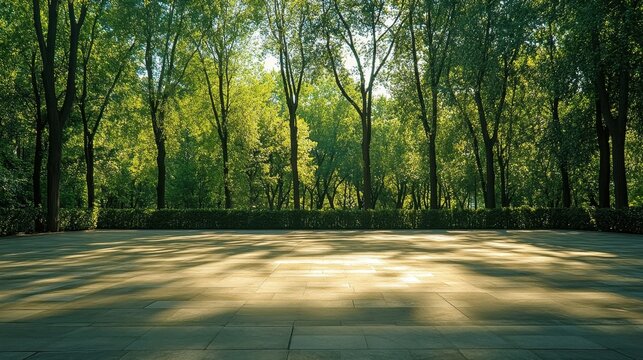 Sunlit Park Pathway Tranquil Green Scene.
