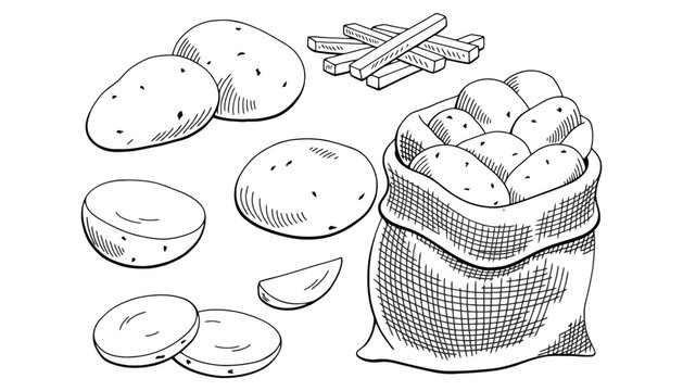 Illustration of potatoes in a bag and cut into fries and slices form