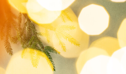 Fir branches and Christmas lights with a bokeh effect on a green background close up
