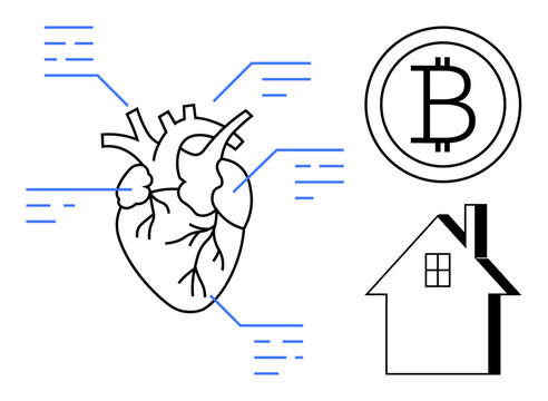 Heart diagram and abstract lines, bitcoin logo, and house illustration. Ideal for finance, health, real estate, connectivity, technology innovation and network concepts. Simple flat metaphor