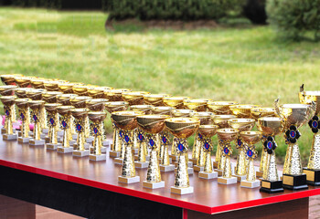 Numerous Golden Trophies Arranged On Table Outdoors. Awards Are Ready For Competition Winners Presentation.