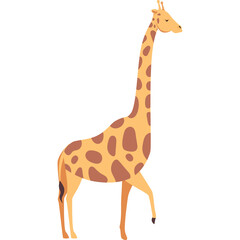 A Full Body Side Profile of a Light Orange Giraffe with Dark Orange Spots Walking Forward with One Leg Raised Against a White Background © juno
