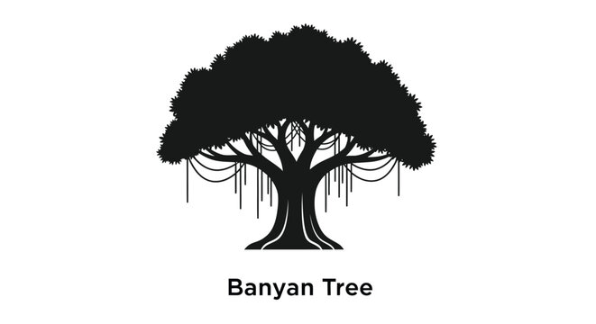 A detailed illustration of a banyan tree with hanging aerial roots