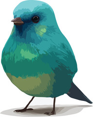 vector illustration of bird