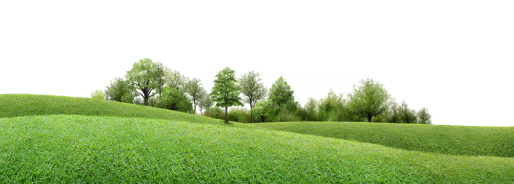 green grass field/serene green meadow with gently rolling hills and a line of lush trees under a bright, open sky, showcasing peaceful natural scenery and fresh outdoor beauty