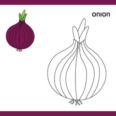 Onion Copy Colour worksheet for kids