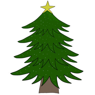 christmas tree illustration