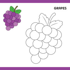 Grapes Copy Colour worksheet for kids