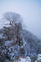 Germany, White snow covered rocks on breitenstein mountain top, swabian alb national park nature landscape with fog in winter early morning mood