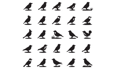 Fototapeta premium Collection of Black Bird Silhouettes in Various Poses