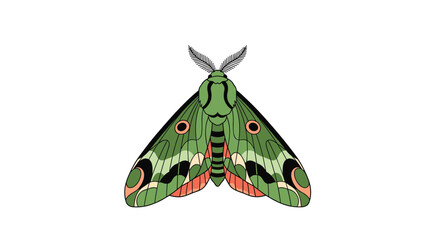 Stylized illustration of a vibrant green moth with detailed wing patterns.