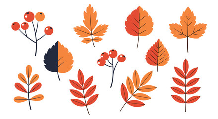 Flat design illustration of autumn leaves and berries on a white background.