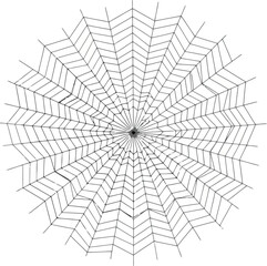 Obraz premium A detailed illustration of a circular spiderweb against a white background