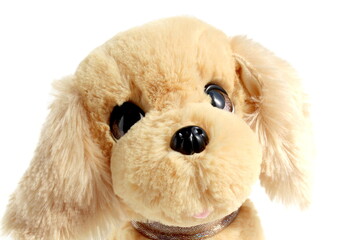 There is a brown plush toy dog ​​standing on a white background.