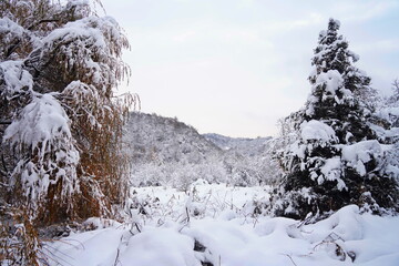 The branches of the trees are covered with the first snow. A lake in a mountainous area with a variety of vegetation. November.