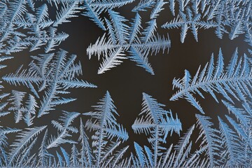 Icy fern frost patterns on glass, delicate blue crystalline branches radiating over dark background, macro closeup revealing
