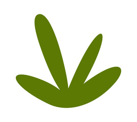 Green grass element natural flora