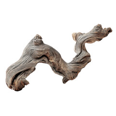 Driftwood branch nature element isolated on transparent background