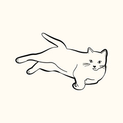 Whimsical doodle cat pose vector illustration. Cute kitten, hand drawn linear cat in different poses sitting, lying down, sleeping