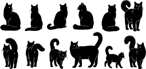 Collection of black cat silhouettes in various poses and sizes on a white background © Kohinoor