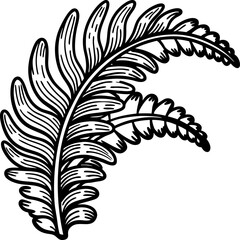 Obraz premium Hand drawn tropical fern leaf illustration botanical black and white contour foliage design, nature element