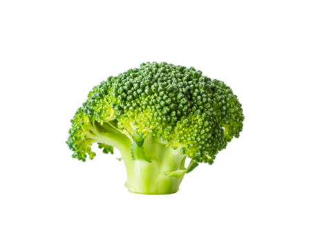 Fresh Broccoli Floret Cut Out for Culinary, Healthy Eating, and Vegetable Concept