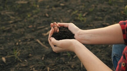 The hands of a peasant woman hold a handful of fertile soil with their bare hands, a view from...