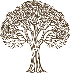 Leafless bare tree silhouette outline intricate detailed branches winter season nature growth concept illustration