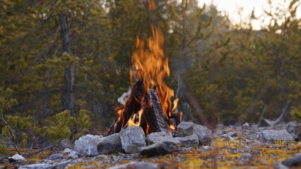 Beautiful Crackling Campfire in a Rocky Landscape among the Pines, Sunrise , Authentic Place