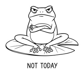 grumpy frog says not today funny cartoon quote
