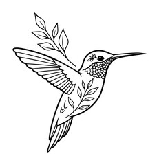 elegant hummingbird with leaf branch line art illustration