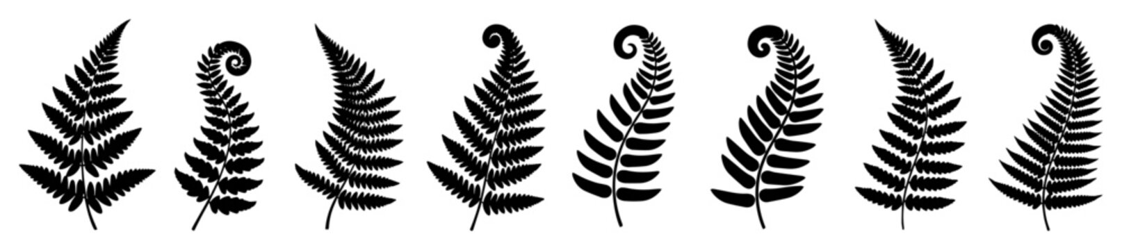 fern leaf silhouette botanical plant icon set