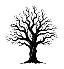 Obraz premium old leafless winter tree silhouette vector illustration