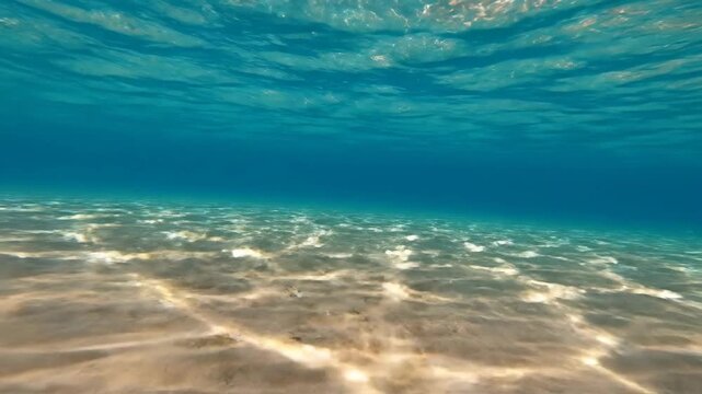 Serene Photorealistic Underwater Scene with Crystal Clear Water and Sandy Seabed