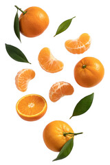 Orange citrus fruits and segments isolated on a transparent background