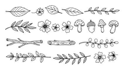 hand drawn botanical elements set vintage forest doodles © Aisha Kudorova