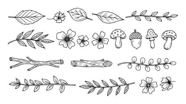 hand drawn botanical elements set vintage forest doodles