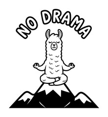 Obraz premium no drama llama meditating on a mountain funny cartoon vector