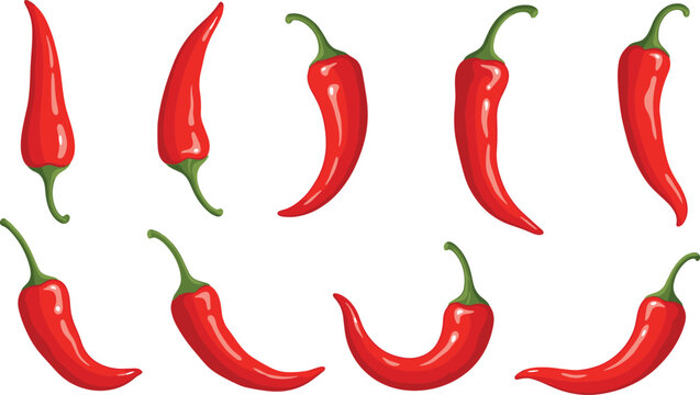 Vector illustration of red chili pepper vegetables, spicy hot food ingredient set, fresh organic capsicum, green stem, various chili shapes, culinary healthy cooking, natural flavor, flat graphic art - Powered by Adobe
