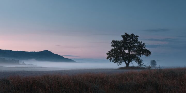 Serene landscape at dawn with lone tree and misty hills